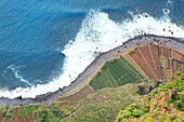 Portugal, Insel Madeira, Aussichtspunkt Kap Girao, bewirtschaftete Felder am Fuße der Steilküste