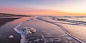 France, Somme, Bay of Somme, Quend Plage, the beach at sunset with a pack of foam
