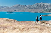 New Zealand, South Island, Canterbury region, hikers at Tekapo lake