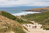 New Zealand, South Island, Otago region, Dunedin, Otago Peninsula, Sandfly Beach