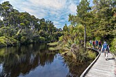 New Zealand, South Island, West Coast region, Ship creek