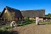 France, Calvados, Herouville Saint Clair, Domaine de Beauregard, Ornavik Historical Park, reconstruction of a Carolingian village with its artisans and farmers, the big farm