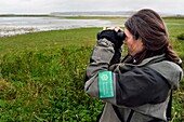 France, Seine Maritime, Natural Reserve of the Seine estuary, Stephanie Reymann from the Maison de l'Estuaire