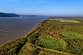 France, Seine Maritime, Natural Reserve of the Seine estuary, cargo ship going down the Seine from Rouen, the reed bed in the foreground and the Normandie bridge in the background (aerial view)