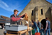 Frankreich, Calvados, Pays d'Auge, Saint Pierre sur Dives, Markttag vor der Markthalle aus dem 11. Jahrhundert, die im 15. Jahrhundert wieder aufgebaut wurde, der Züchter Pierre-Alain verkauft seine Kaninchen lebend