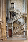 France, Seine Maritime, Rouen, Cathedral Notre-Dame, staircase known as of the booksellers (libraires), typical of the Gothic style