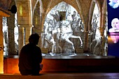 Frankreich, Seine Maritime, Rouen, der erzbischöfliche Palast, Historisches Jeanne d'Arc Museum, Bildprojektion in der gotischen Krypta