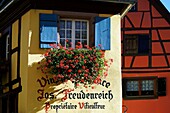 Frankreich, Haut Rhin, Eguisheim, Häuser, typische Fassaden.