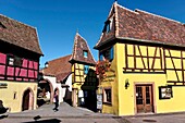 Frankreich, Haut Rhin, Eguisheim, typische Häuser.