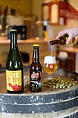 Frankreich, Morbihan, Surzur, P'tite Mam Bio-Bier der Brauerei Rhuys