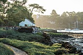 Frankreich, Morbihan, Bono, alte Austernzucht am Ufer des Flusses Auray in der Morgendämmerung