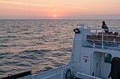 France, Morbihan, Hoedic, the boat trip between Houat and Hoedic at dawn
