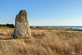 France, Morbihan, Quiberon, menhir says of Jean and Jeannette on the peninsula of Quiberon