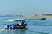 France, Morbihan, Ria d'Etel, the ferryman between Etel and the Magouer