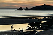 Frankreich, Morbihan, Saint-Pierre-Quiberon, Fotograf am Strand von Port Bara in der Abenddämmerung