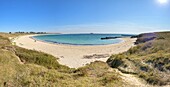 Frankreich, Morbihan, Houat, Südostküste, der große Strand von Treac'h und Goured