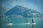 France, Savoie, before Savoyard country, lake Aiguebelette, paddle practice