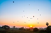 Myanmar (Burma), Region Mandalay, Bagan (Weltkulturerbe der UNESCO) Buddhistische Ausgrabungsstätte, Alt-Bagan (Weltkulturerbe der UNESCO), Sonnenaufgang über den Tempeln mit Heißluftballons