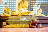 Myanmar (Burma), Yangon, Shwedagon Pagoda