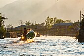 Myanmar (Burma), Shan State, Inle Lake