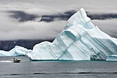 Grönland, Westküste, Baffinbucht, Fischen vor Eisbergen im Uummannaq-Fjord