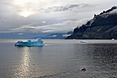 Greenland, West Coast, Baffin bay, icebergs in Uummannaq fjord at Ukkusissat