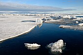 Grönland, Nordwestküste, Smith-Sund nördlich der Baffin-Bucht, schmelzende Bruchstücke des arktischen Meereises