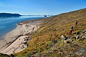 Grönland, Nordwestküste, Murchison-Sund nördlich der Baffin-Bucht, Wanderer im Robertson-Fjord bei Siorapaluk, dem nördlichsten Dorf Grönlands, im Hintergrund die MS Fram, ein Kreuzfahrtschiff von Hurtigruten, vor Anker
