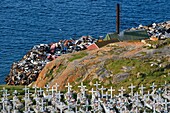 Grönland, Westküste, Baffin Bay, Upernavik, der Friedhof überblickt die Müllkippe