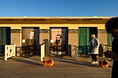Frankreich, Calvados, Pays d'Auge, Deauville, die berühmten Planken am Strand, gesäumt von Badekabinen im Art-déco-Stil, eine Hommage an Monet und Renoir