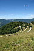 France, Haut Rhin, Hautes Vosges, Le Treh, paragliding flight area, overlooking Oderen and the Upper Thur Valley