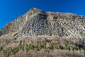 Frankreich, Puy de Dome, Orcival, Regionaler Naturpark der Vulkane der Auvergne, Monts Dore, Tuiliere-Gestein, vulkanischer Phonolith in Röhrenform