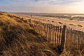 Frankreich, Somme, Baie de Somme, Le Crotoy, der Crotoy Strand und die Baie de Somme von den Dünen aus gesehen, die die Bucht säumen