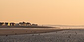 France, Somme, Baie de Somme, La Mollière d'Aval, Cayeux-sur-Mer, Cayeux-sur-Mer from the beach at sunset