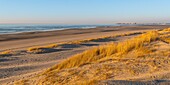 Frankreich, Somme, Bucht von Authie, Fort-Mahon, die Dünen von Marquenterre, südlich der Bucht von Authie, Berck-sur-mer im Hintergrund