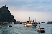 Vietnam, Gulf of Tonkin, Quang Ninh province, Ha Long Bay (Vinh Ha Long) listed as World Heritage by UNESCO (1994), iconic landscape of karst landforms, cruise ships