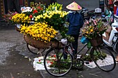 Vietnam, Rotes Flussdelta, Hanoi, fahrender Blumenhändler auf dem Fahrrad