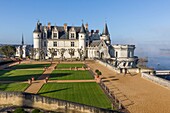 Frankreich, Indre et Loire, Loire-Tal (UNESCO-Welterbe), Amboise, Schloss Amboise, das Schloss von Amboise vom Dile d'Or über der Loire