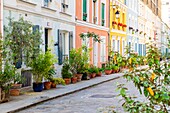 Frankreich, Paris, Stadtteil Quinze Vingts, die Rue Cremieux ist eine Fußgängerzone und gepflastert, gesäumt von kleinen Pavillons mit bunten Fassaden