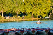 France, Paris, the Bois de Vincennes, Daumesnil Lake