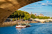Frankreich, Paris, von der UNESCO zum Weltkulturerbe erklärtes Gebiet, die Ufer der Seine, die Change-Brücke