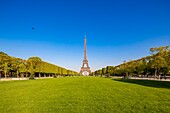 Frankreich, Paris, Gebiet, das zum Weltkulturerbe der UNESCO gehört, die Champs de Mars und der Eiffelturm