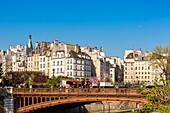 France, Paris, Saint Michel district, the double bridge