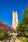 Frankreich, Paris, der Turm Saint Jacques