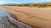 Spanien, Valencianische Gemeinschaft, Strand von Oliva (Luftaufnahme)