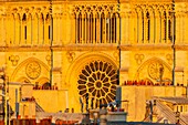 France, Paris, area listed as World Heritage by UNESCO, Notre Dame Cathedral