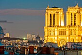 Frankreich, Paris, Welterbe der UNESCO, Kathedrale Notre-Dame