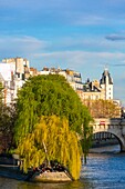 France, Paris, area listed as World Heritage by UNESCO, the banks of the Seine, the tip of the Ile de la Cite