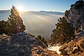 France, Isere, Moucherotte, Sunrise from the top of Vercors range