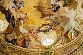Italy, Piedmont, Province of Cuneo, Langhe, Vicoforte, sanctuary of Vicoforte, basilica, Vault of the gigantic elliptical cupola dedicated to the Glory of Mary is completed by Francesco Gallo
